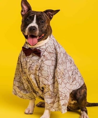 Un alegre perro pitbull atigrado con una camisa estampada y una pajarita sobre un fondo amarillo.