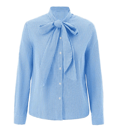 sky blue plaid blouse