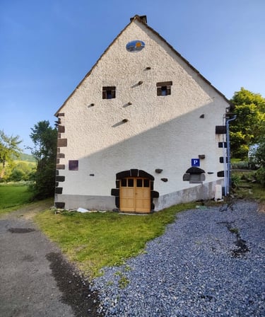 Nettoyage par drone, démoussage de toiture, Nettoyage de panneaux solaires, façade et bardage 