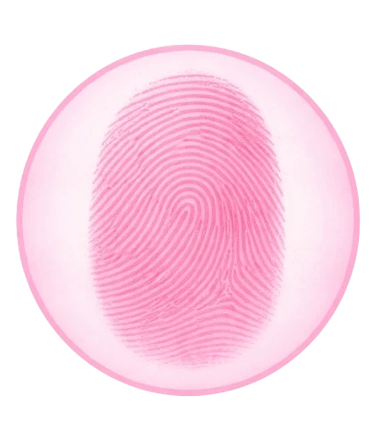 indicador visual de oferta especial de Bíblia feminina