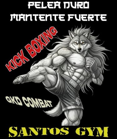 clases kick boxing palma 