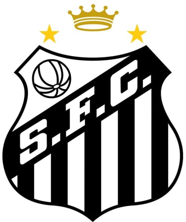 Santos Futebol Clube