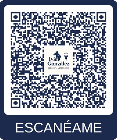 Código QR para contactar por WhatsApp con Iván González, ecografía veterinaria en Asturias