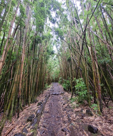 Pipiwail trail Maui