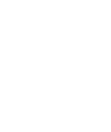 Mally Financial Services