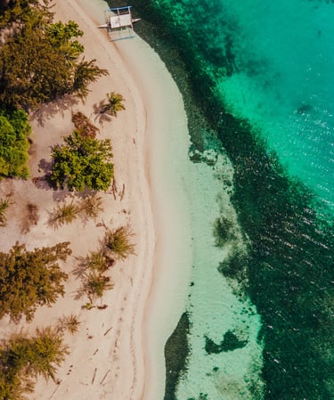 a boat is parked on the shore of a beach