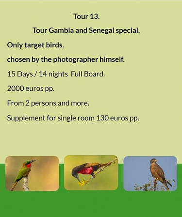 Flyer Tour 13 – 15-day special bird photography Gambia & Senegal tour, full board, price from €2000 