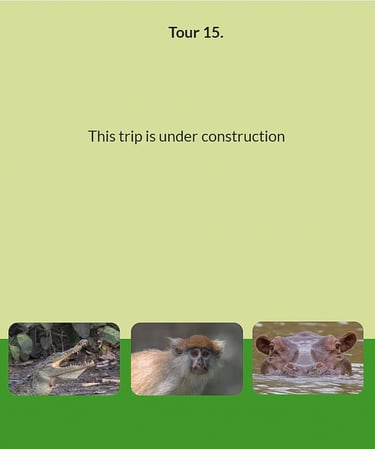 Flyer Tour 15 – bird photography Gambia tour (under construction). This trip is still in development