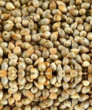 Whole Lentil