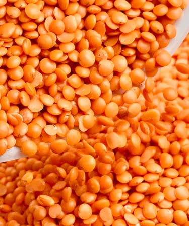 Red Lentils