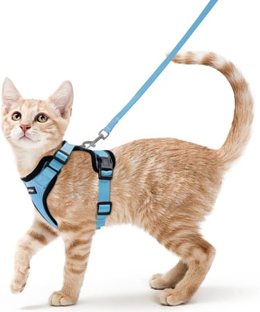 rabbitgoo Cat Harness and Leash for Walking, Escape Proof Soft Adjustable Vest Harnesses for Small