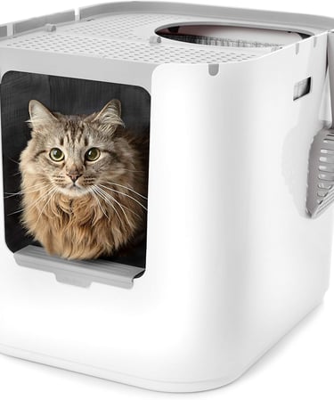 Modkat XL Litter Box, Top or Front-Entry Configurable, Includes Scoop and Liners - White