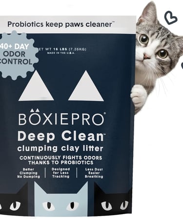 Boxie® Probiotic Cat Litter 40 Day Natural Odor Control, 16lb Clumping Kitty Litter (Clay)