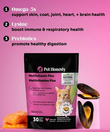 Cat Multivitamin Crunchy & Creamy Chews - Cat Treats for Health + Immune, Joints, Skin & Coat