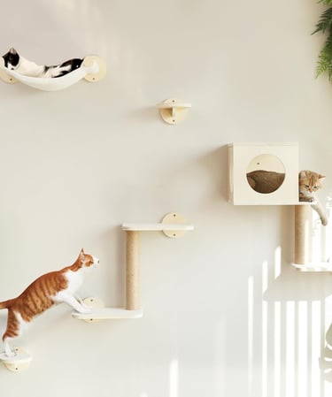 FUKUMARU Cat Wall Shelves, Wall-Mounted Furniture Set, Stable Wooden Kitty Climber with Hammock