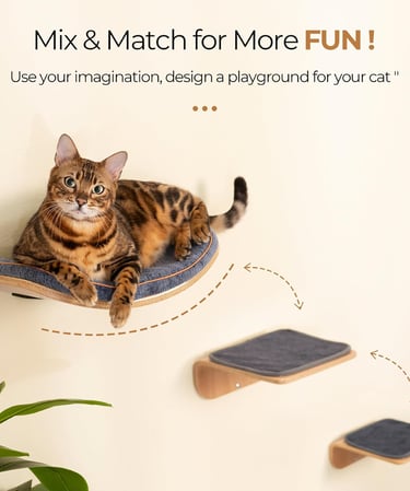 Cat Wall Shelves for Cat Wall Steps, Perch, Ladder, Wooden Floating Modern Mounted Cat Furniture
