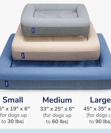 Casper Sleep Dog Bed, Plush Memory Foam, Small, Blue