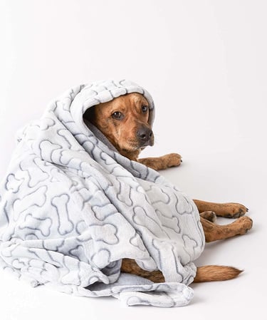 DII Bone Dry Microfiber Pet Blanket for Dogs and Cats, 36x48", Warm, Soft and Plush for Couch, Car