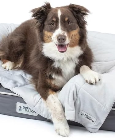 PetFusion Premium Cat and Dog Cooling Blanket. Lightweight Pet Blanket, Machine Washable Pet Blanket