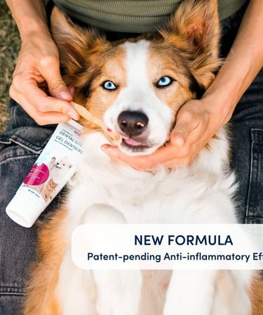 Animora Cranberry Dental Gel (90ml), New Formula, Toothpaste for Dogs and Cats, Improves Oral Health
