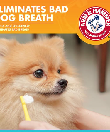 Arm & Hammer Dog Dental Care Fresh Breath Enzymatic Toothpaste for Dogs | No More Doggie Breath