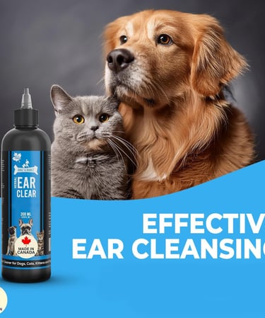 Dogz & Dudez Dog Ear Cleaner (Made in Canada) – Natural Herbal Ear Wash for Dogs & Cats