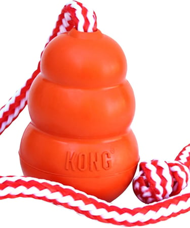 KONG Aqua - Floating Fetch Toy for Water Play - For Medium Dogs