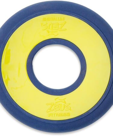 Zeus Fitness Dog Toy, Fetch Disc - Diam. 23 cm (9 in)