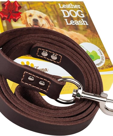 ADITYNA Leather Dog Leash 6ft - Dog Training Leash for Small, Medium, Large, and Extra-Large Dogs