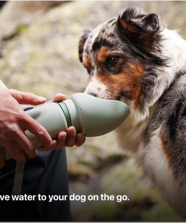 (A Canadian Company) Säker Portable Dog Water Bottle, Collapsible Water Bottle for Dogs