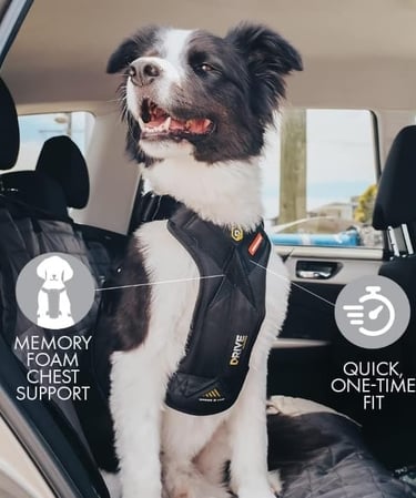 EzyDog Drive Safety Travel Dog Car Harness - Crash Tested US (FMVSS 213) - Premium Vehicle Restraint