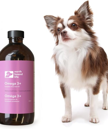 Pure Canadian Omega-3 Seal Oil for Dogs: EPA, DHA & Unique DPA. Boost Health & Vitality, Arthritis