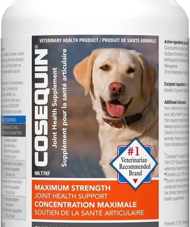 Nutramax Cosequin DS Plus MSM Chewable Tablets, (180 Count) Nutramax-sf