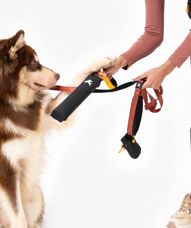 OllyDog Tugger | Durable Dog Tug Toy | Recycled | Tough Dog Bite Pillow | Handle | Interactive Pull 