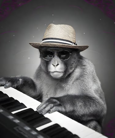 Monkey in sunglasses with a hat playing the Piano