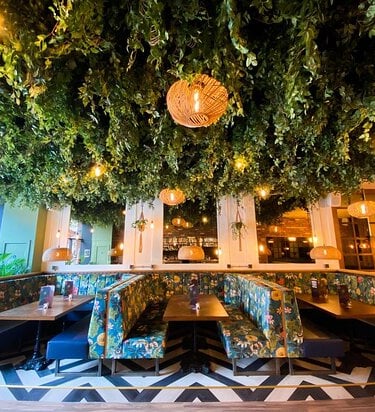 The Green Room