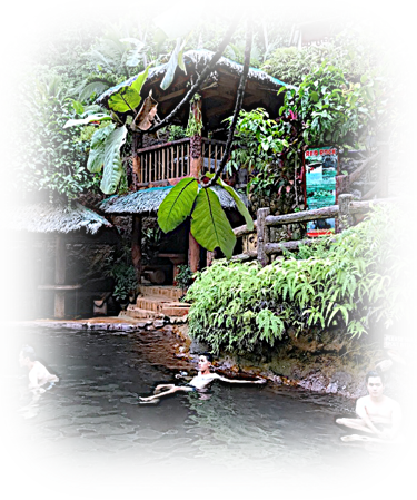 a group of people are swimming in a pond