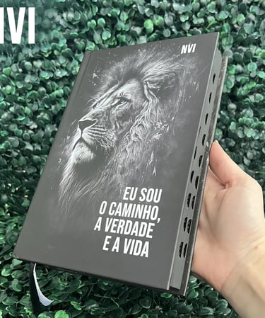 Bíblia feminina NVI para jovens com leitura prática e atual