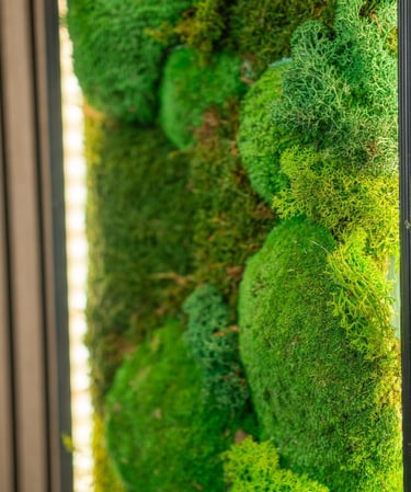 a mossel planter with mossel and mossel