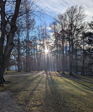 Sun filtering through the trees in the grounds of Ambras Castle, Innsbruck.