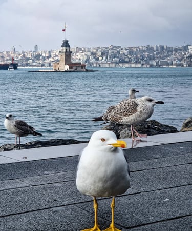 Maiden Tower - Kiz Kulezi