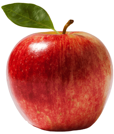 Хаттори Райто