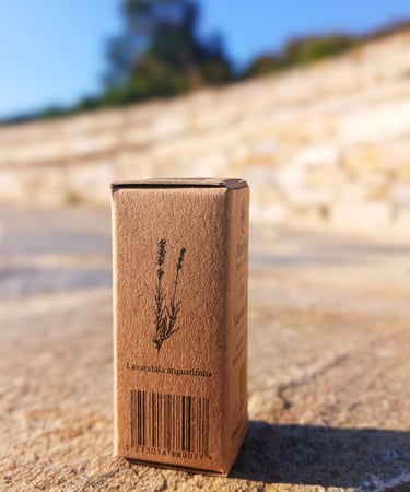 Greek lavender essential oil organic Anthos Botanicals 2