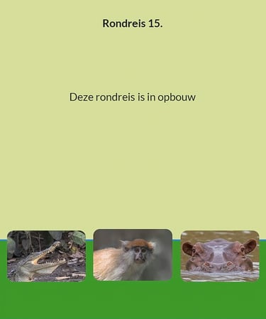 Flyer Tour 15 – vogelfotografie Gambia rondreis (in voorbereiding). Deze trip is nog in ontwikkeling