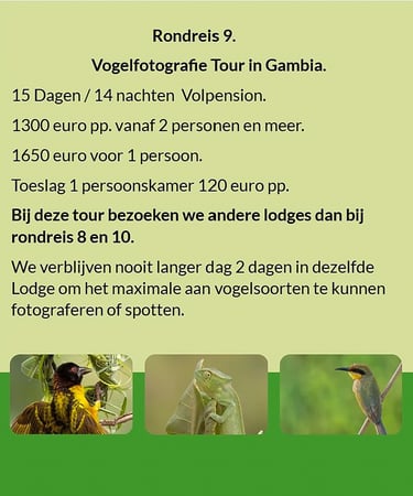 Flyer Tour 9 – 15-daagse vogelfotografie Gambia rondreis, full board, prijs vanaf €1300 p.p. Bezoek 