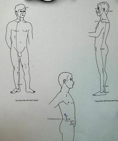 Third Ancestry overview: Yin Qiao, Yang Qiao and Dai Mai with questions about happiness, responsibil