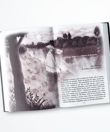 um livro diagramado com uma ilustração