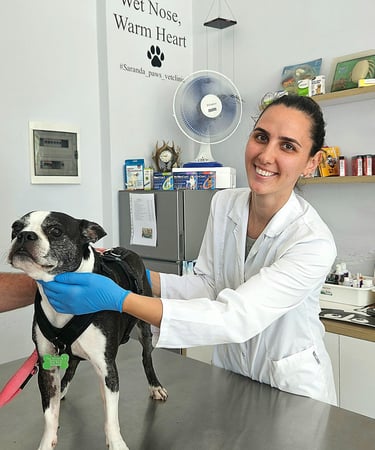 Vet Tizana examining Yoki.