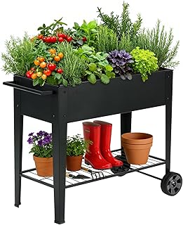 Keter Urban Bloomer 12.7‑Gallon Raised Garden Bed – Elevated Outdoor Planter Box