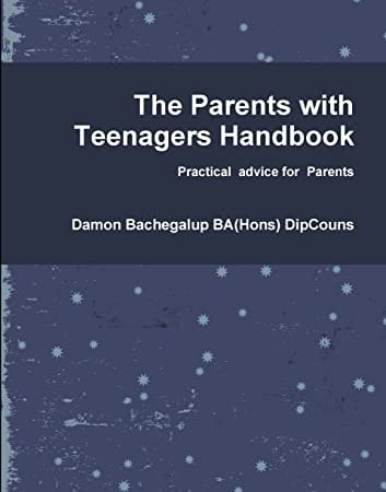 damons book for parents